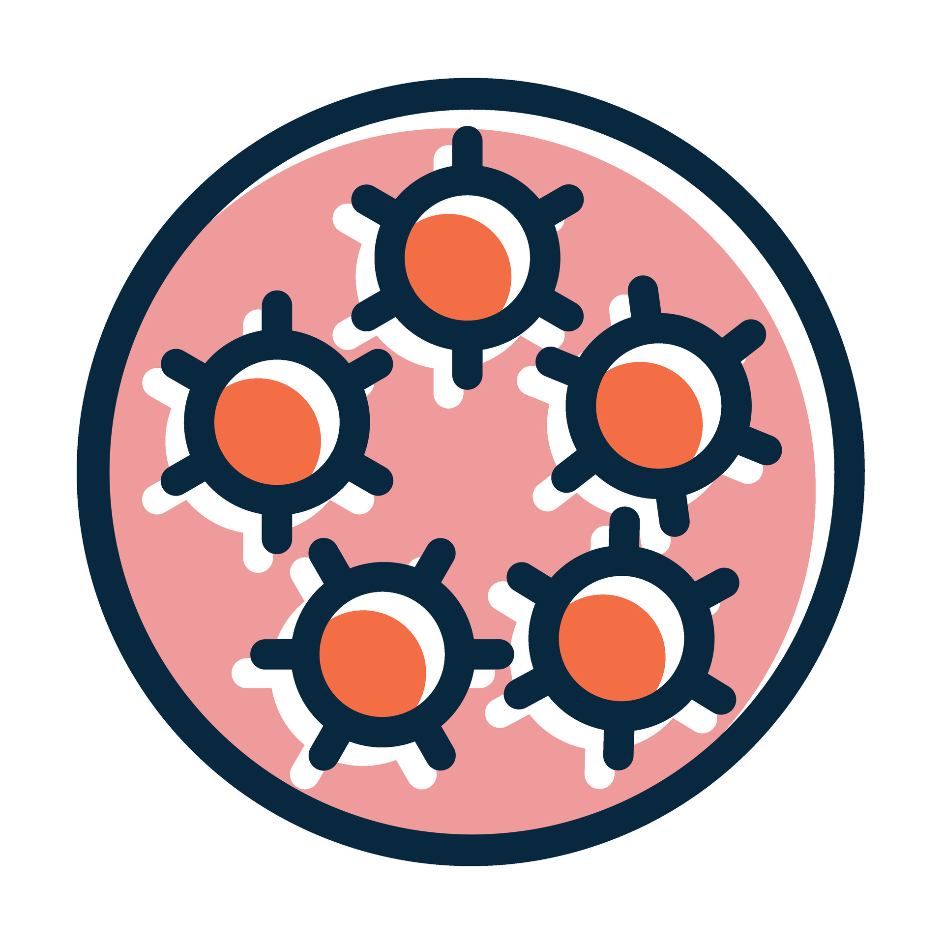 Detecção e genotipagem de HPV por PCR